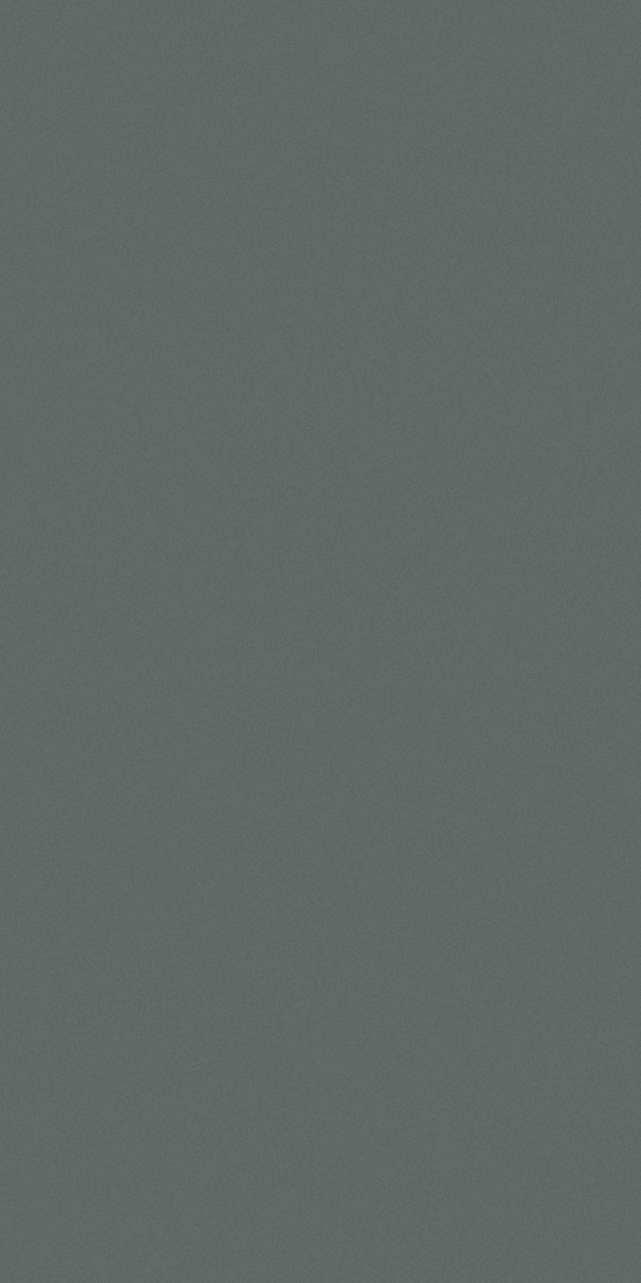 BASICC GRIS